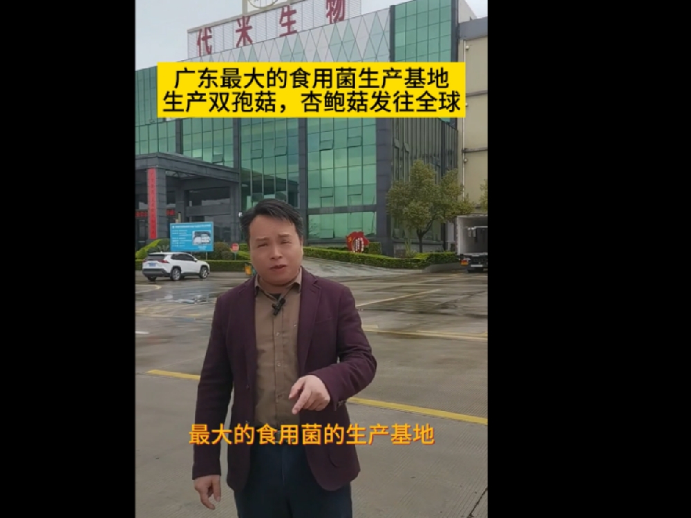 廣東最大的食用菌生產(chǎn)基地，代米生物真空預(yù)冷機(jī)使用現(xiàn)場(chǎng)